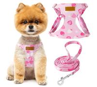 SlowTon Puppy Harness and Leash Sets - Adjustable Lightweight Harness for Small Dogs Kitten, No Pull Escape Proof Vest Harness for Outdoor Walking Running Training Small and Medium Sized Dog