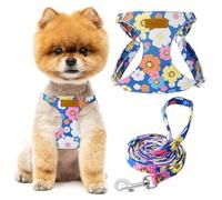 SlowTon Puppy Harness and Leash Sets - Adjustable Lightweight Harness for Small Dogs Kitten, No Pull Escape Proof Vest Harness for Outdoor Walking Running Training Small and Medium Sized Dog