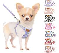 SlowTon Puppy Harness and Leash Sets - Adjustable Lightweight Harness for Small Dogs Kitten, No Pull Escape Proof Vest Harness for Outdoor Walking Running Training Small and Medium Sized Dog