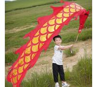 SLSKO Dragon Dance Fitness Ribbon Dragon Poi Ribbon With Plastic Dragon Head Multicolor 2m 300CM 5m For Dance Fitness(Red,300CM)