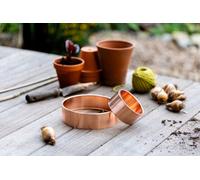 Slug Rings™ Copper Slug And Snail Repellent Rings Starter Pack (3 Large And 3 Small Rings)
