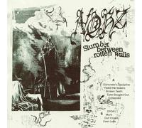 Slumber Between Rotten Walls [VINYL]