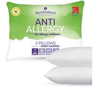 Slumberdown Anti Allergy Pillows 2 Pack - Allergy UK Approved Front & Back Sleeper Soft Pillows for Allergy Sufferers - Anti Bacterial Soft Touch Cover, Made in the UK & Machine Washable (48 x 74cm)