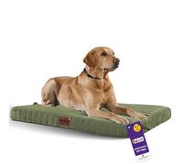 Slumberdown Orthopedic Large Dog Bed - Supportive, Cushioned & Washable Crate Mattress for Dogs & Cats | UK-Made, Joint & Pressure Relief, Edge-to-Edge Support, Green