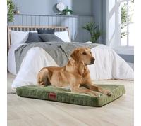 Slumberdown Orthopedic Large Dog Bed - Supportive, Cushioned & Washable Crate Mattress for Dogs & Cats | UK-Made, Joint & Pressure Relief, Edge-to-Edge Support, Green