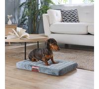 Slumberdown Paws For Slumber Orthopedic Pet Bed, Grey, Small