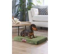 Slumberdown Paws For Slumber Small Orthopedic Pet Bed In Green Green S