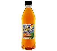 Slush | Snow Cone Syrup | Compatible with ALL Slush Puppy Machines | 500ml Bottles Pick Your Flavour (500ml, Orange)