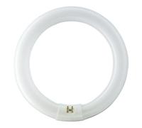 SLV 548240 2GX13 40 W 3000 k Glass T5-Ring Shape Fluorescent Lamp, White