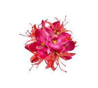 SLXLYH Flower Hair Clip for Women Girls Artificial Hairpin Headpiece Hair Accessories Floral Barrette For Weddings And Parties(Red)