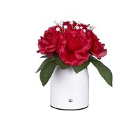 SLYHHZHMY Bouquet Night Light Hand-Held Flower Night Light Ornament Suitable for LED Night Lights at The Bedside, Livings Room, and Study (Red)