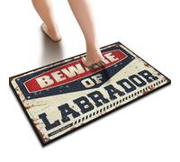 SLYNORA Fall Welcome Mats Outdoor Beware Of Labrador Floor Mat Doormat Rug Patio Decorations Outdoor(40X60CM)