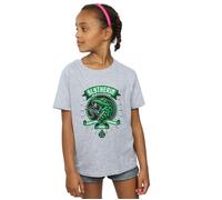 Slytherin Toon Crest Cotton T-Shirt Harry Potter Grey 12-13 Years