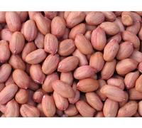 SM Raw Peanuts | Groundnut | moongfali (मूंगफली) (500 Grams)