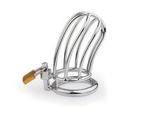 SM Sex Toys Chastity Device Flat Chastity Cage Inverted Chastity Cage Male Cage Chastity Device Beginner Device Penis Ring to Prevent Erection Bondage for Men