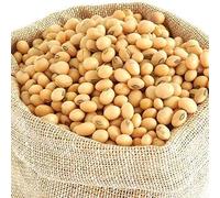 SM SOYA Bean Seeds | Soyabean Dana | High Protein & Fiber,200 Gram
