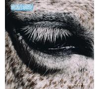 Smag Pa Dig Selv - This Is Why We Lost (180g Lp) [VINYL]