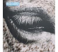 SMAG PA DIG SELV - THIS IS WHY WE LOST [VINYL]