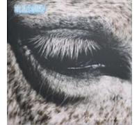 SMAG PA DIG SELV - THIS IS WHY WE LOST [VINYL]