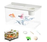 Small 20 cm Aquarium with 3 Coloured Lights, High Transparency Aquarium, Ecosystem for Office, Table, Living Room, Bedroom, Entrance, Arrangement