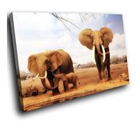 Small A035AA Framed Canvas Print - Modern Wall Art - HD Quality Picture - 100% Guaranteed - Brown Baby Elephant Africa - Living & Bedroom Home Décor with Easy Hang Guide - 30cm x 20cm - WOYW