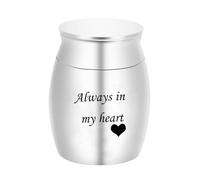 Small Aluminium Keepsake Choose from Colours Sharing Personal for Pet or Human in Your Heart Blue Dog Bicycle Basket with Wind Protection (Silver, One Size)