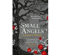 Small Angels: 'A twisting gothic tale of darkness, intrigue, heartbreak and revenge' Jennifer Saint