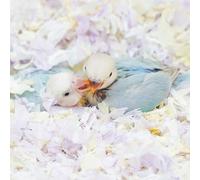 Small Animal Bedding, Bird Cozy Nesting Cotton Paper Material, Enhance Breeding Environment, Low Dust Odor Control for Birds Parrots Parakeets Guinea Pigs Rabbits Hamsters 0.92lb (Yellow and Purple)