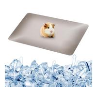 Small Animal Cooling Pad,19.6x11.8inch Reusable Pet Cooler Plate | Heat Dissipation Plate, Sleeping Ice Bed for Home, Bunny in Hot Weather