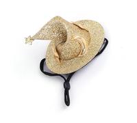 Small Animal Hat, Hamster Hat - Party Wizard Hat for Pigs - Costume Hat for Hamsters, Pigs, Chinchillas, Ferrets, Rabbits