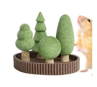 Small Animal Toys - 5X Hamster Chewing Teething Jungle Theme Toys | Realistic Habitat Decoration, Animals Tooth Care Playing Companion for Rabbits, Chinchilla, Squirrel, Gerbil