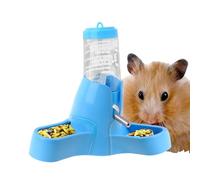 Small Animal Water Bottle No Drip 80ml Pet Accessories