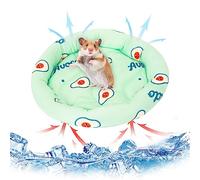 Small Animals Cooling Mat Bed Rabbit Hamster Cooling Pad Summer Ice Silk Sleeping Bed for Small Pet Puppy Guinea Pigs Hamster Rabbits Hamsters Cat 21 * 21cm /8.3 * 8.3in (Green)
