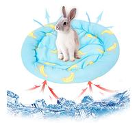 Small Animals Cooling Mat Bed Rabbit Hamster Cooling Pad Summer Ice Silk Sleeping Bed for Small Pet Puppy Guinea Pigs Hamster Rabbits Hamsters Cat 21 * 21cm /8.3 * 8.3in(Blue)