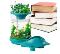 Small Aquarium Betta, Small Aquaponic Tank, Translucent Aquarium with Filter System, Autonomous Aquarium with Aquaponic Ecosystem Aquarium for Fish Store, Home, Place of Fish