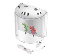 Small Aquarium - Mini Aquarium, Office Habitat | Transparent Repeater, Water Circulation Pump With Light Walls In Offices Offices, Corners Of The Room During Observation And The Watching