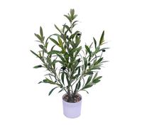 Small Artificial Olive Tree (1, 24 Inches)