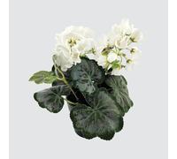 Small Artificial White Geranium Plant in Pot, Maintenance Free Small Fake Houseplant, Faux Flower Decor, Artificial Potted Houseplant, Realistic Fake White Flower Decoration