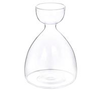Small Avocado Seed Starter Vase, Avocado Tree Growing Kit, Hydroponic Bottle Fruit Core Glassware Balcony Vase