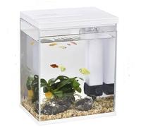 Small betta Fish Tank, 2 Gallon Glass Aquarium Starter Kit, Small Fish Tank with Filter and Light,mini goldfish tank (Color : White)