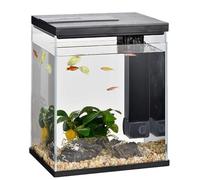 Small betta Fish Tank, 2 Gallon Glass Aquarium Starter Kit, Small Fish Tank with Filter and Light,mini goldfish tank (Color : Black)