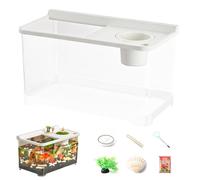 Small Betta Fish Tank with 3 Color LED Lights | 360° High Transparency Desktop Aquarium for Beginners | Hydroponic Landscape Fish Tank for Home Office Bedroom or Tabletop Display