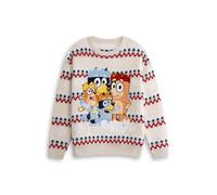 Bluey Unisex Cream Heeler Family Christmas Jumper | Long Sleeve Crew Neck Sweater, Bingo, Bandit and Chilli | Holiday Wear for Adults | Festive Cartoon Character Merch - Small