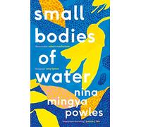 Small Bodies of Water
