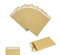 Small Brown Envelope for Seeds, Adhesive Paper Envelope Seed Packet, for Money Seed Packaging Storage Small Items Payroll Beads (6 * 11.5cm)