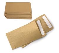 Small Brown Envelopes, 100 Pcs Self-Adhesive Mini Seed Packets Kraft Paper Small Money Coin Envelopes for Seeds Wages Envelope 10x6cm