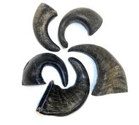 Small Buffalo Horns x 5 Natural Dog Treats Chews