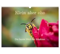 Small but mighty. The colorful world of insects UK-Version (Wall Calendar 2026 DIN A3 Landscape), CALVENDO 12 Month Wall Calendar