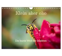 Small but mighty. The colorful world of insects UK-Version (Wall Calendar 2026 DIN A4 Landscape), CALVENDO 12 Month Wall Calendar
