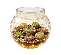 Small Candy Jar - Transparent Spherical Storage Bowl | Decorative Glass Storage Bowls,for Bowl Party Birthday Weekday Offices Bedroom Dorm Countertop Outdoor Flower Garden Grocery